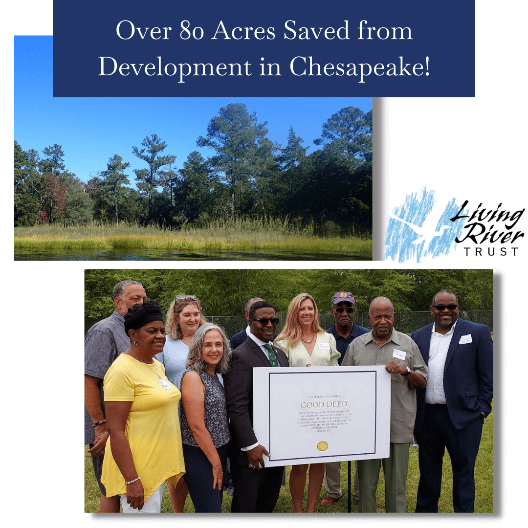 Community Support Victory: 88 Acres of Land Saved from Development in Chesapeake, VA